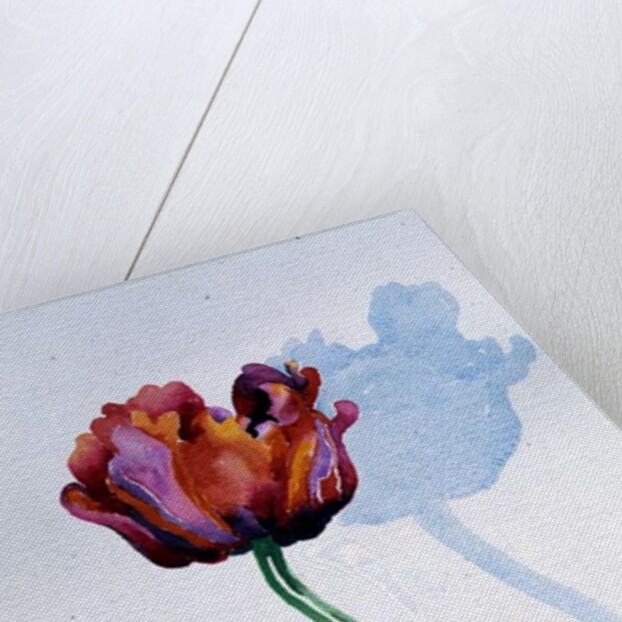 Tulip, 1998 by Izabella Godlewska de Aranda