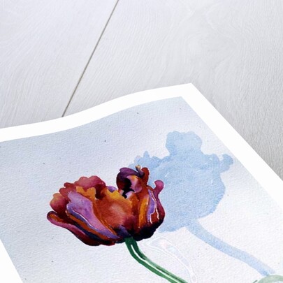 Tulip, 1998 by Izabella Godlewska de Aranda