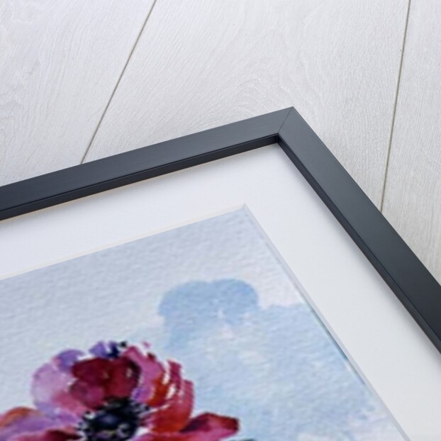 Anemone, 1998 by Izabella Godlewska de Aranda