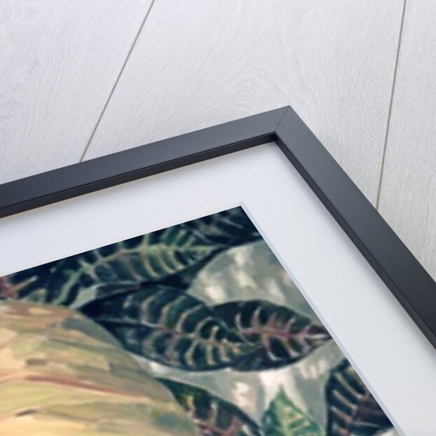 Lucia, 1961 by Izabella Godlewska de Aranda