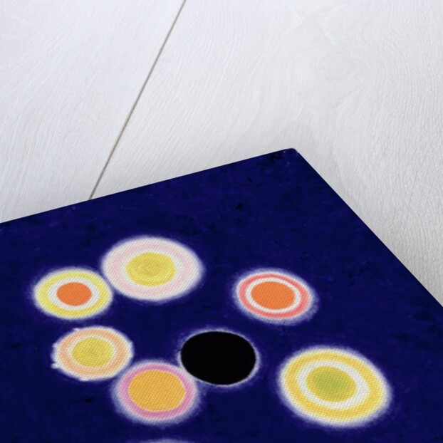 The Black Hole by Izabella Godlewska de Aranda