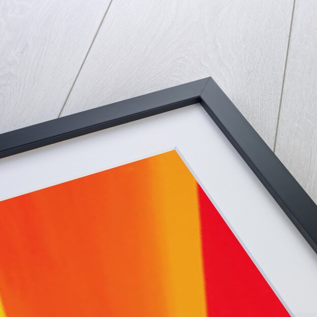 Climax, 1988 by Izabella Godlewska de Aranda