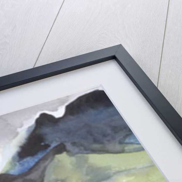 Loch Ness from Glendoe Lodge, 1995 by Izabella Godlewska de Aranda