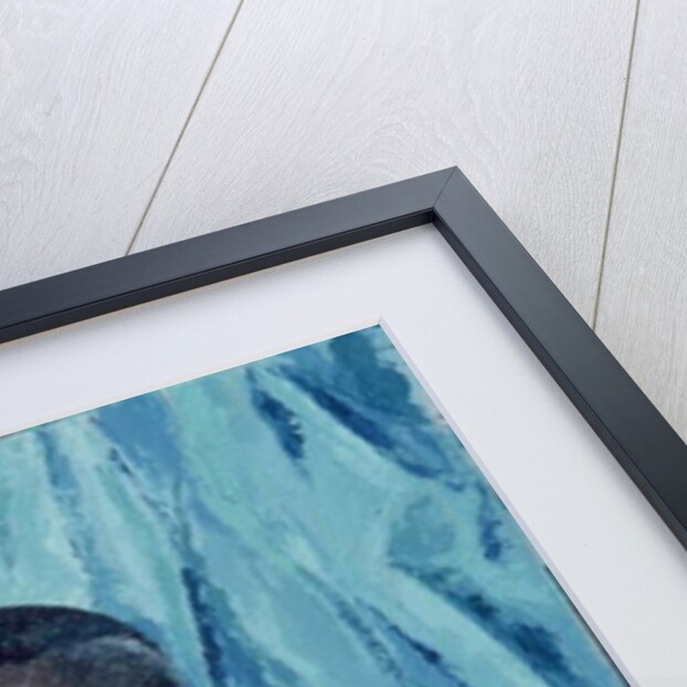 Etienne, Haiti, 1962 by Izabella Godlewska de Aranda