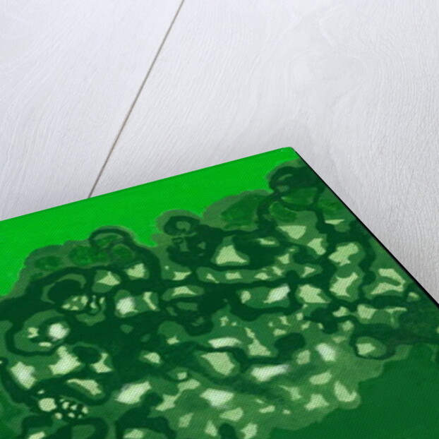 Kensington Gardens Serise: Canopy Shadows, 2007 by Izabella Godlewska de Aranda