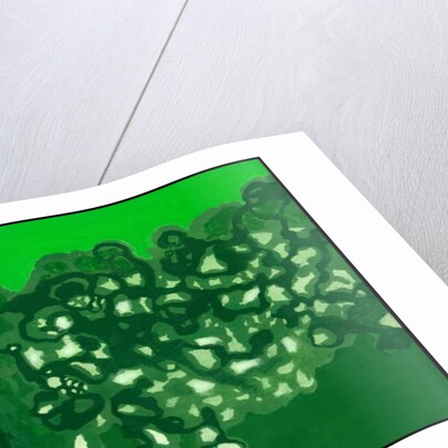 Kensington Gardens Serise: Canopy Shadows, 2007 by Izabella Godlewska de Aranda