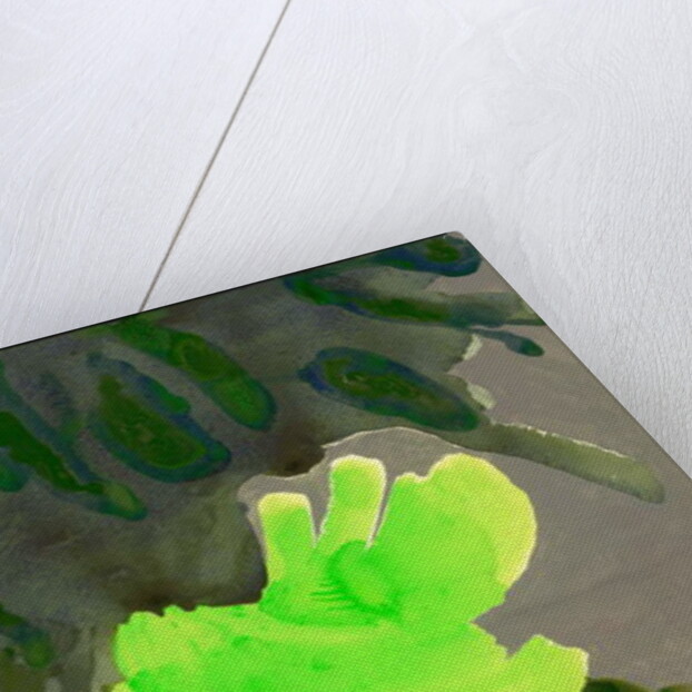 Kensington Gardens Series: Leaf Cascade, 2007 by Izabella Godlewska de Aranda