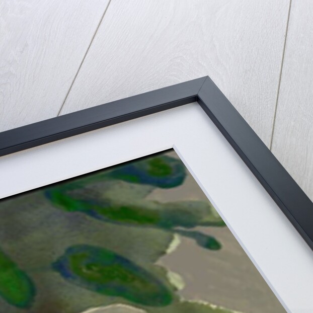 Kensington Gardens Series: Leaf Cascade, 2007 by Izabella Godlewska de Aranda