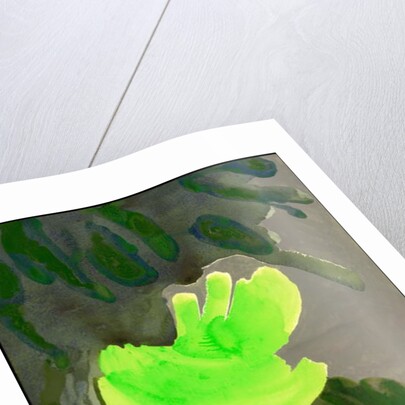 Kensington Gardens Series: Leaf Cascade, 2007 by Izabella Godlewska de Aranda