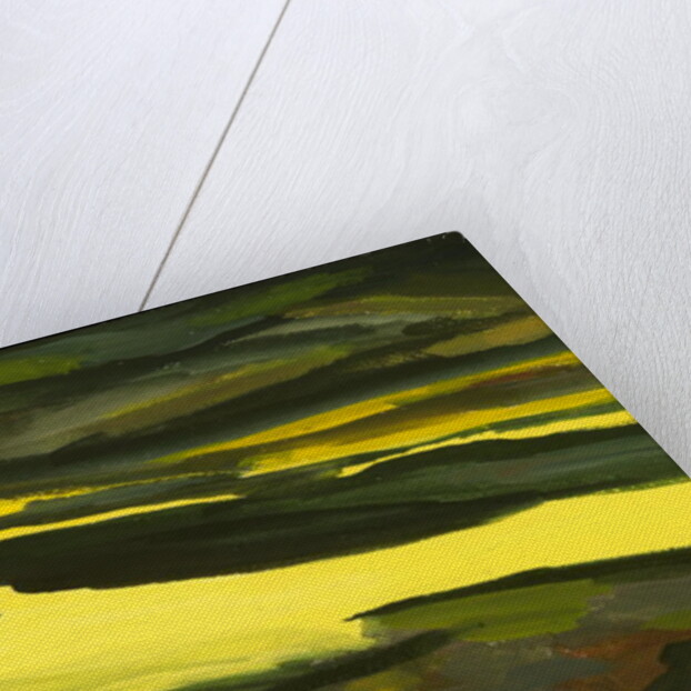 That Land of Mine by Izabella Godlewska de Aranda