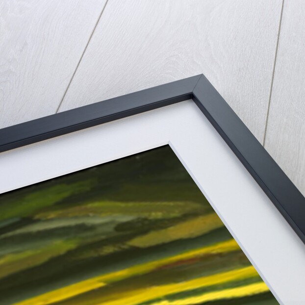 That Land of Mine by Izabella Godlewska de Aranda