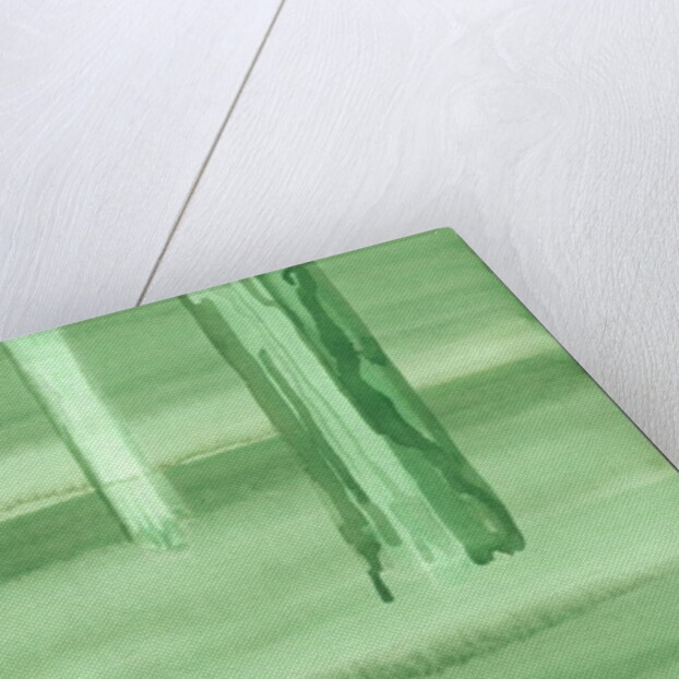 Kensington Gardens Series: Ghost Trees by Izabella Godlewska de Aranda