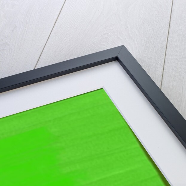 Kensington Gardens Series: Green on Green by Izabella Godlewska de Aranda