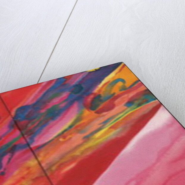 Cosmos by Izabella Godlewska de Aranda