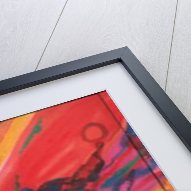 Cosmos by Izabella Godlewska de Aranda