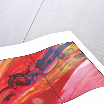 Cosmos by Izabella Godlewska de Aranda