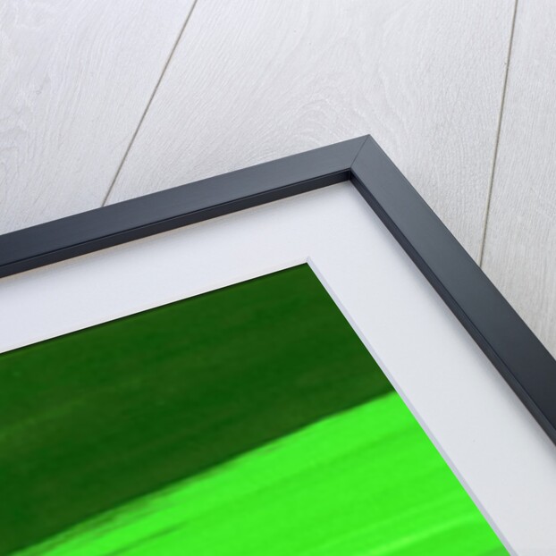 Kensington Gardens Series: My World of Green 3 by Izabella Godlewska de Aranda