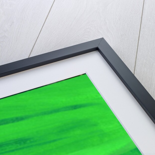 Kensington Gardens Series: My World of Green 2 by Izabella Godlewska de Aranda