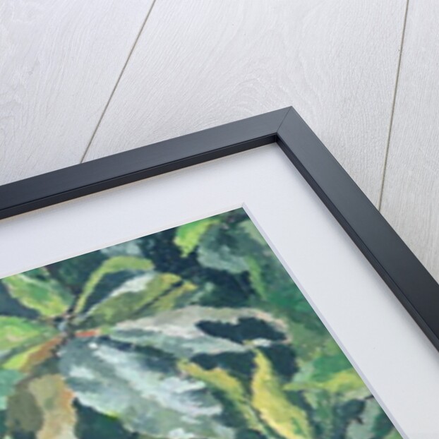 Plants, 1961 by Izabella Godlewska de Aranda