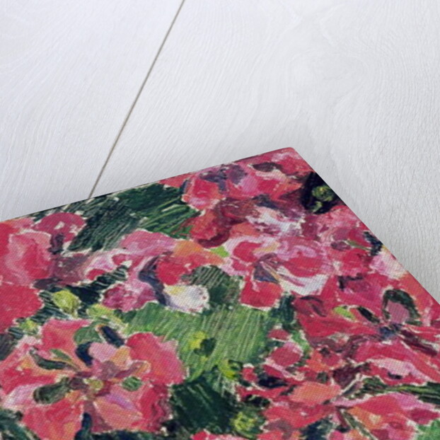 Rhododendron, 1962 by Izabella Godlewska de Aranda