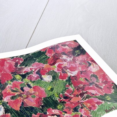 Rhododendron, 1962 by Izabella Godlewska de Aranda