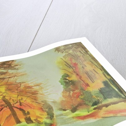 No.47 Autumn, Beaufays Road, Liege, Belgium by Izabella Godlewska de Aranda