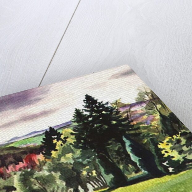 No.61 Summer, Beaufays, Liege, Belgium by Izabella Godlewska de Aranda