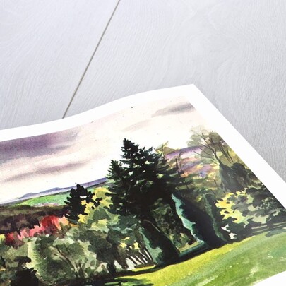 No.61 Summer, Beaufays, Liege, Belgium by Izabella Godlewska de Aranda