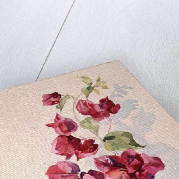 No.2 Bougainvillea Red by Izabella Godlewska de Aranda