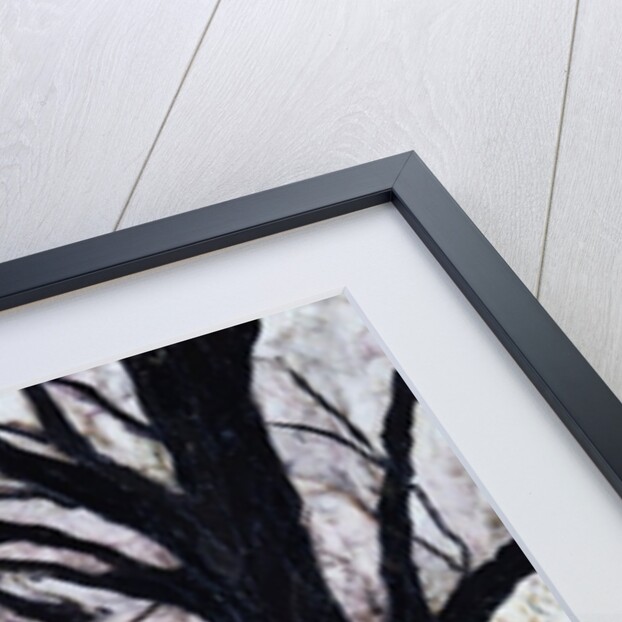 Winter Trees, Greenwich Park, 2004 by Ellen Golla