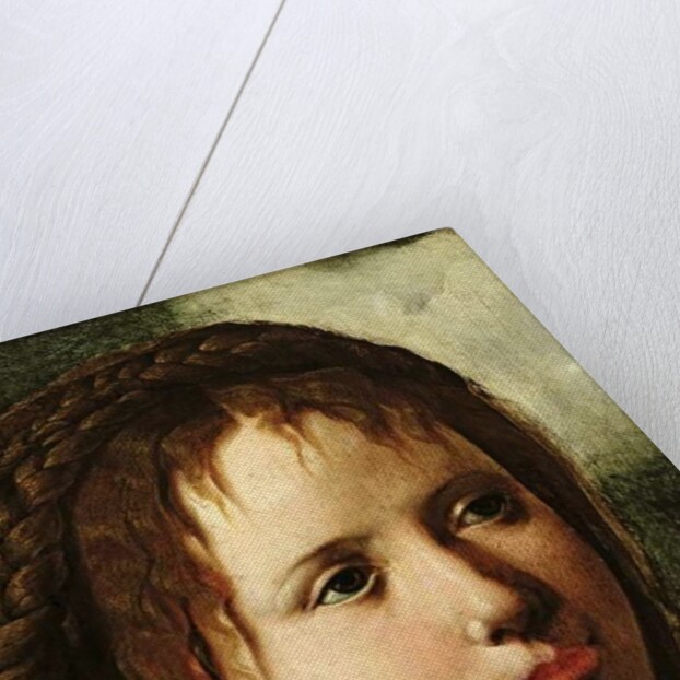 Head of a Girl, 1530/35 by Jan van Scorel