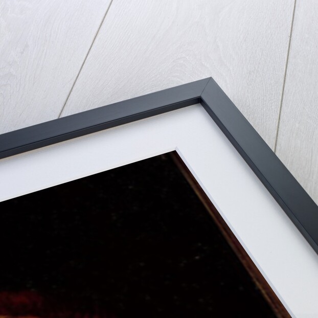 Le Condottiere, 1475 by Antonello da Messina