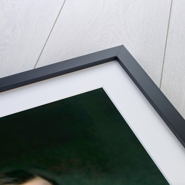 Portrait of Ulysses S. Grant, c.1875-99 by American School