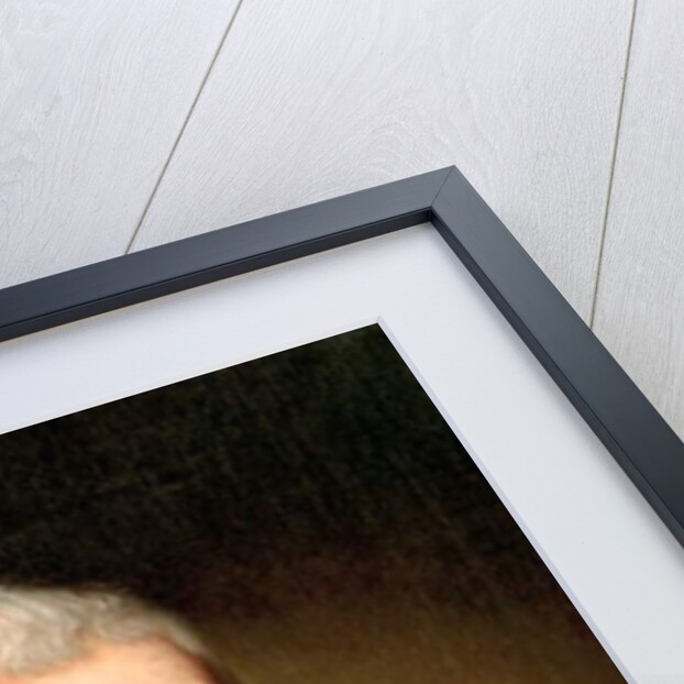 Portrait of Thomas Jefferson, 1853 by Rembrandt Peale