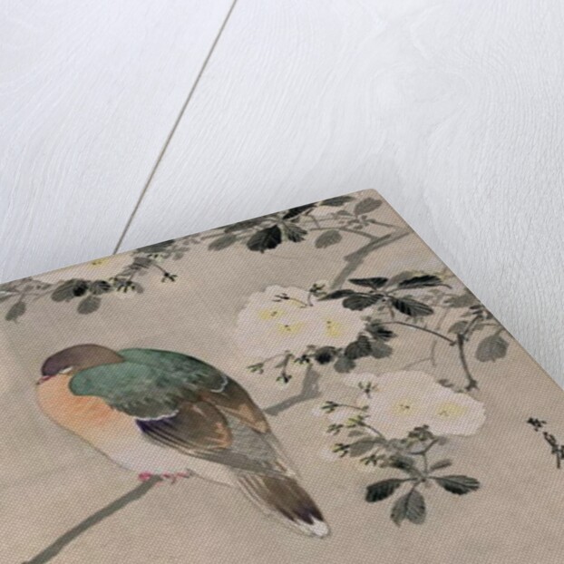 Japanese Silk Painting of a Wood Pigeon, 1800-1899 by Japanese School
