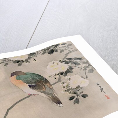 Japanese Silk Painting of a Wood Pigeon, 1800-1899 by Japanese School