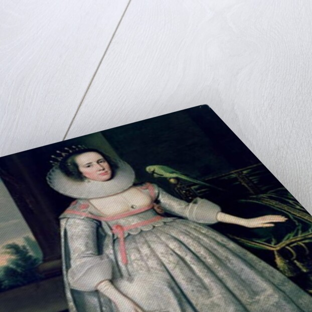 The Countess of Sussex by Paul van Somer