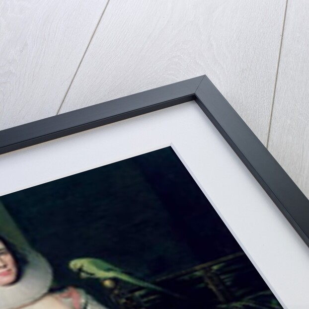 The Countess of Sussex by Paul van Somer