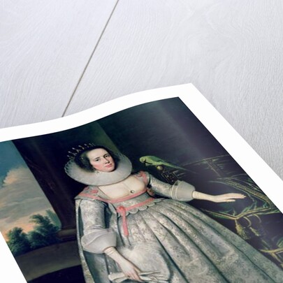 The Countess of Sussex by Paul van Somer