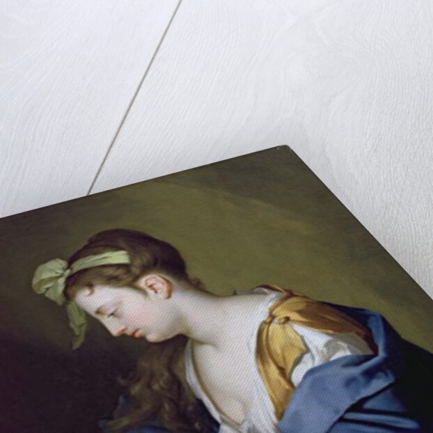 Lady Reading by Herman van der Mijn