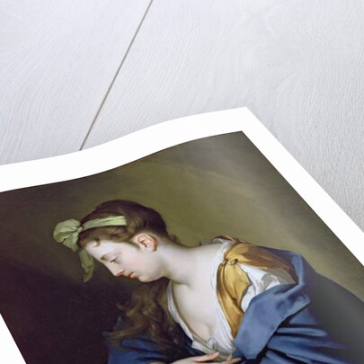 Lady Reading by Herman van der Mijn