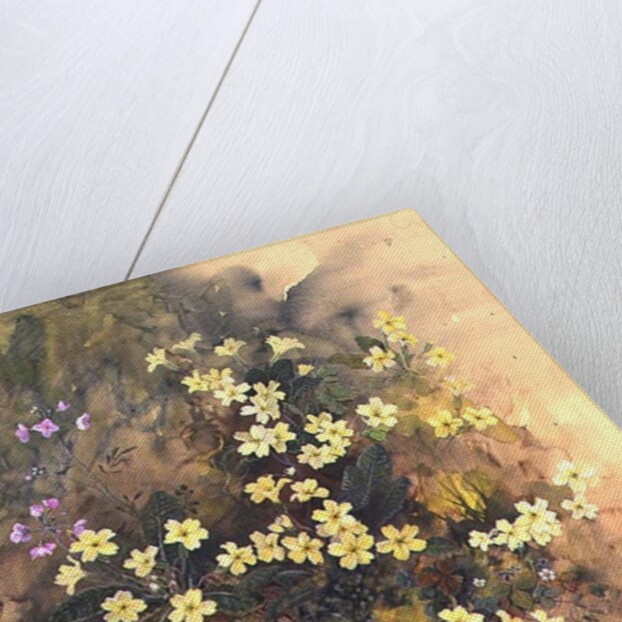 Primrose Bank by John Gubbins