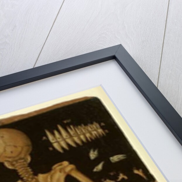 Ms Hunter 364 Table IV, from Anatomical Tables, by John Banister by English School