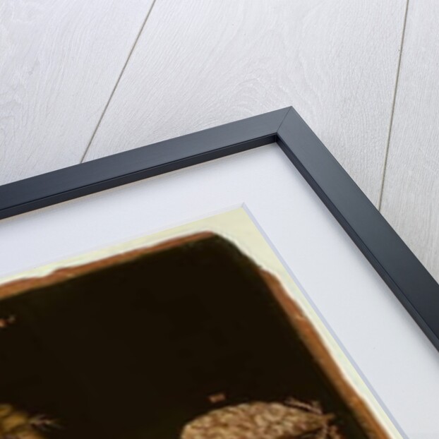 Ms Hunter 364 Table V Dissection, from Anatomical Tables, by John Banister by English School