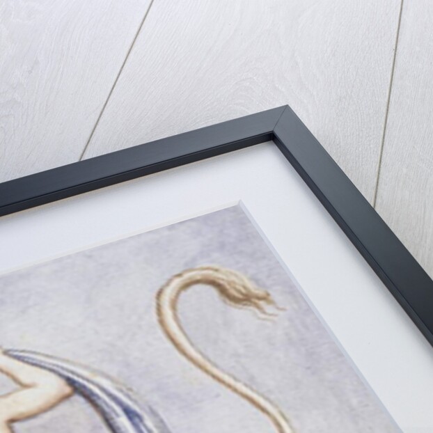 Ms Gen 1496 Plate CXX Rape of Europa, 1674 by Pietro Santi Bartoli