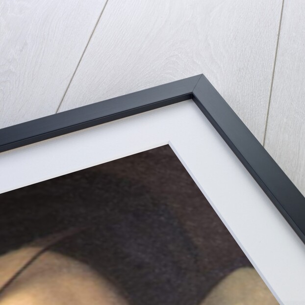 Indre & Loire N* 025 - Chateau d'Azay-le-Rideau - Room N* 4 - Portrait of Catherine de Medicis by Anonymous