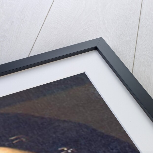 Indre & Loire N* 212 - Chateau de Plessis-les-Tours - Portrait of Francois 1st - French school of the 17th century by Anonymous