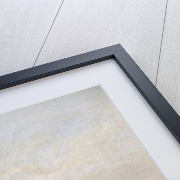 Sheep on a Common by T. K. Atkinson