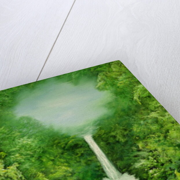 The Everlasting Rain Forest, 1997 by Hannibal Mane