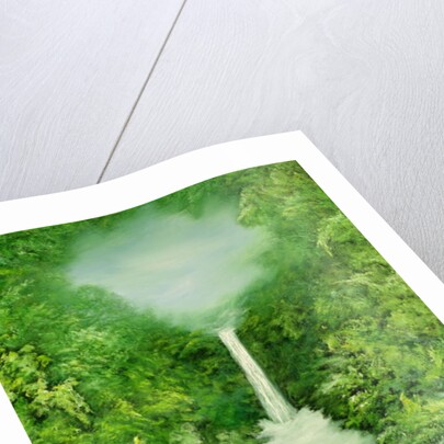 The Everlasting Rain Forest, 1997 by Hannibal Mane